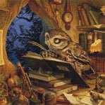 A Wise Old Owl (image for) A Wise Old Owl